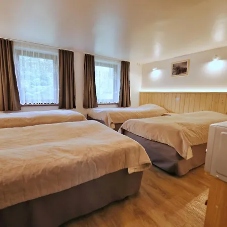 Goscinne Stanek ホームステイ *