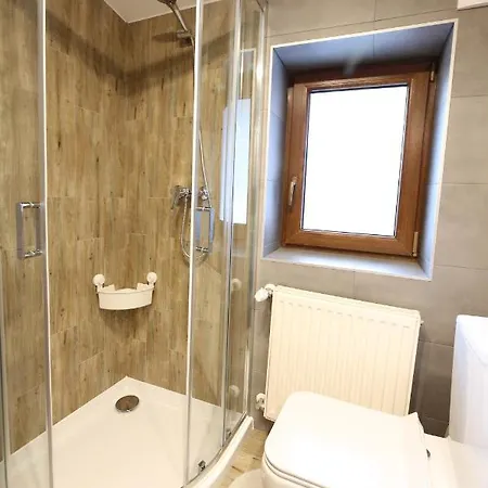 Goscinne Stanek ザコパネ